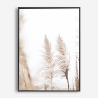 Jessie | Canvas Print