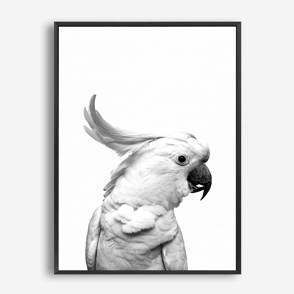 Cockatoo | Canvas Print