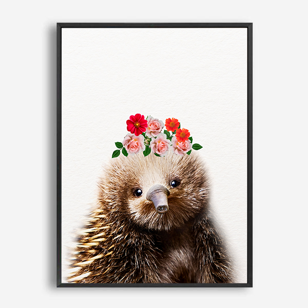 Echidna | Canvas Print