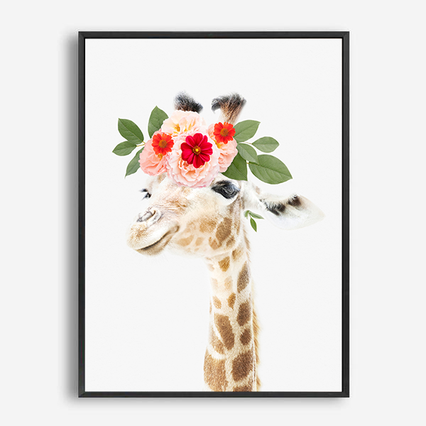 Baby Giraffe | Canvas Print