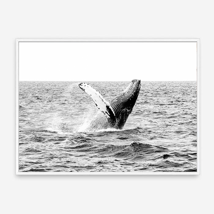 Whale | Canvas Print