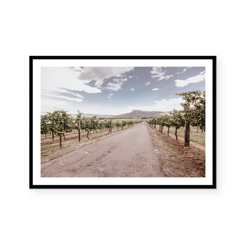 Hunter Valley Vineyards | Art Print