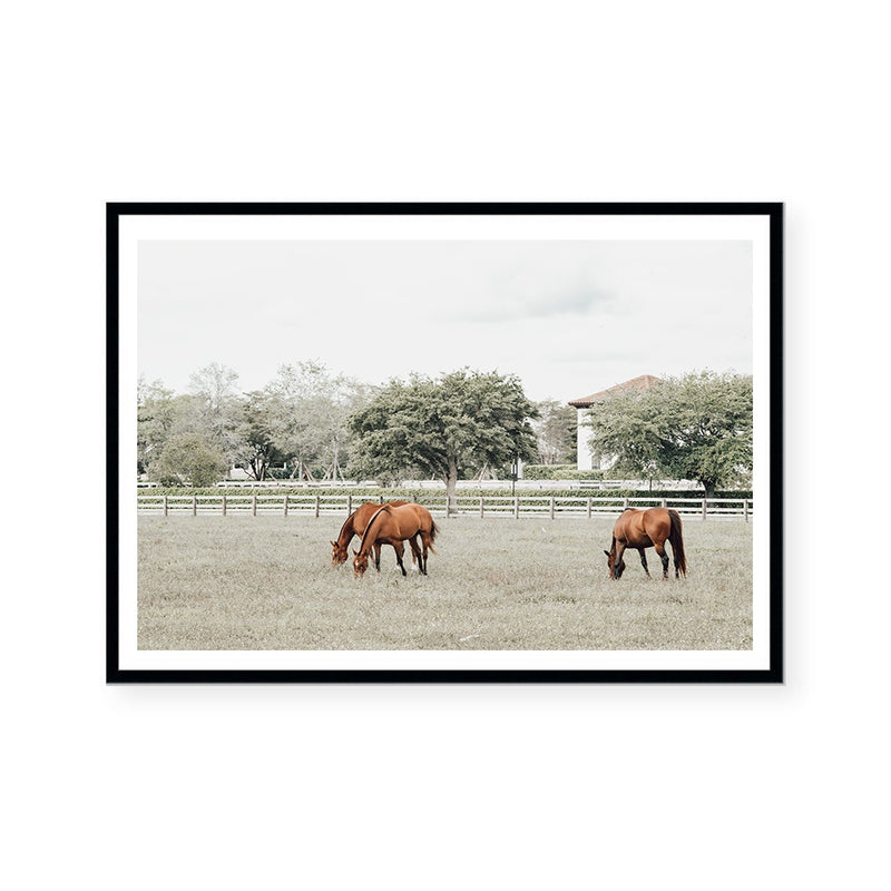 Australian Landscape | Art Print