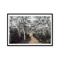 Australian Forest | Art Print