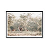 Outback Kangaroos | Art Print