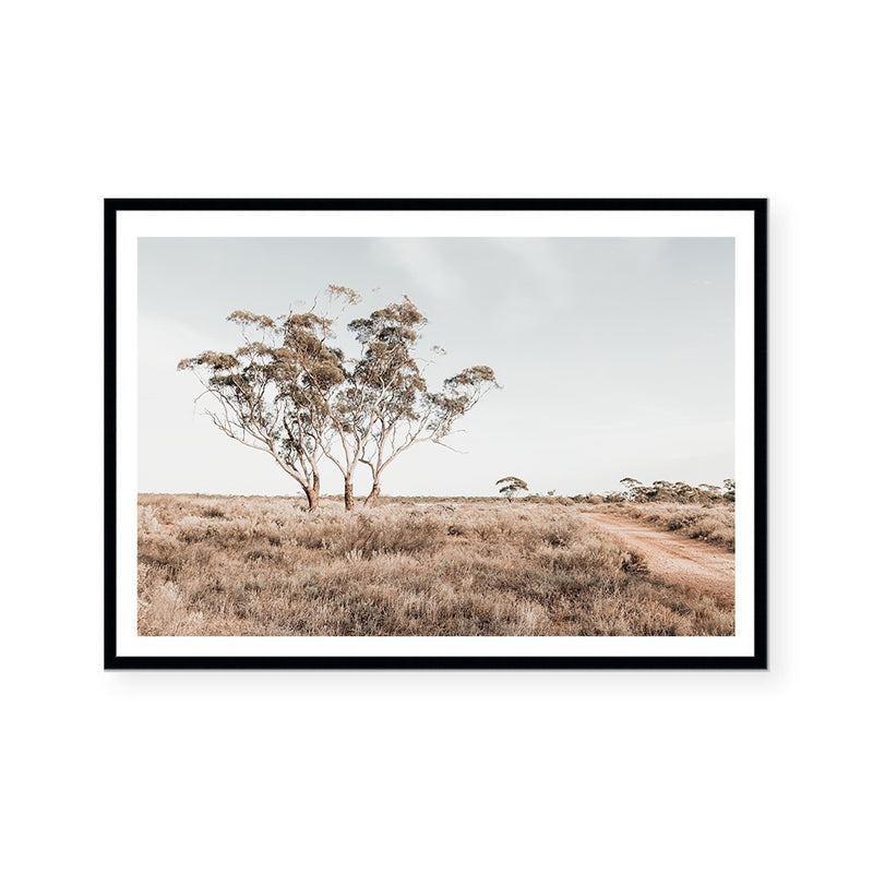 Outback Bush II | Australian Landscape | Art Print