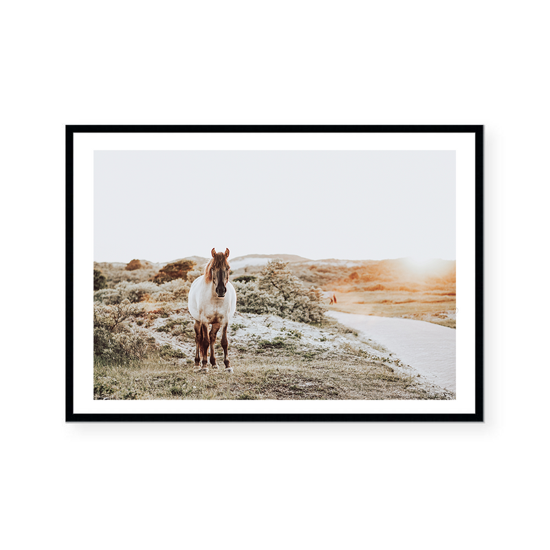 Airlie | Art Print