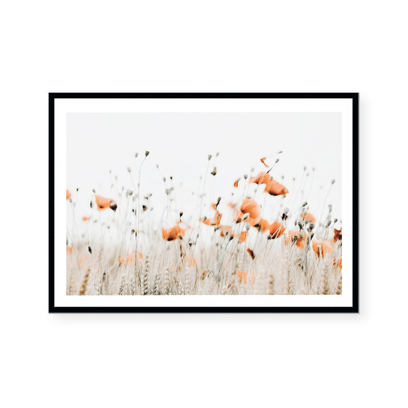 Poppies III | Art Print