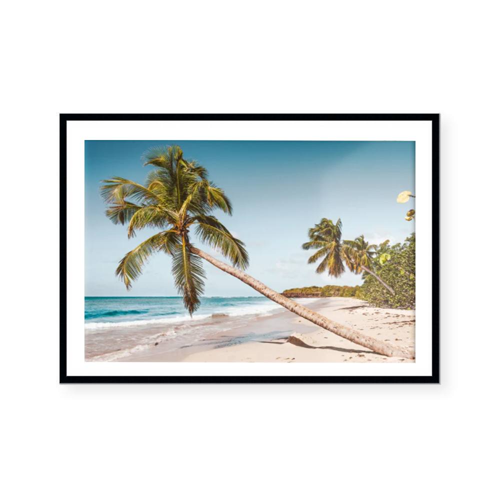 Carribean | Art Print