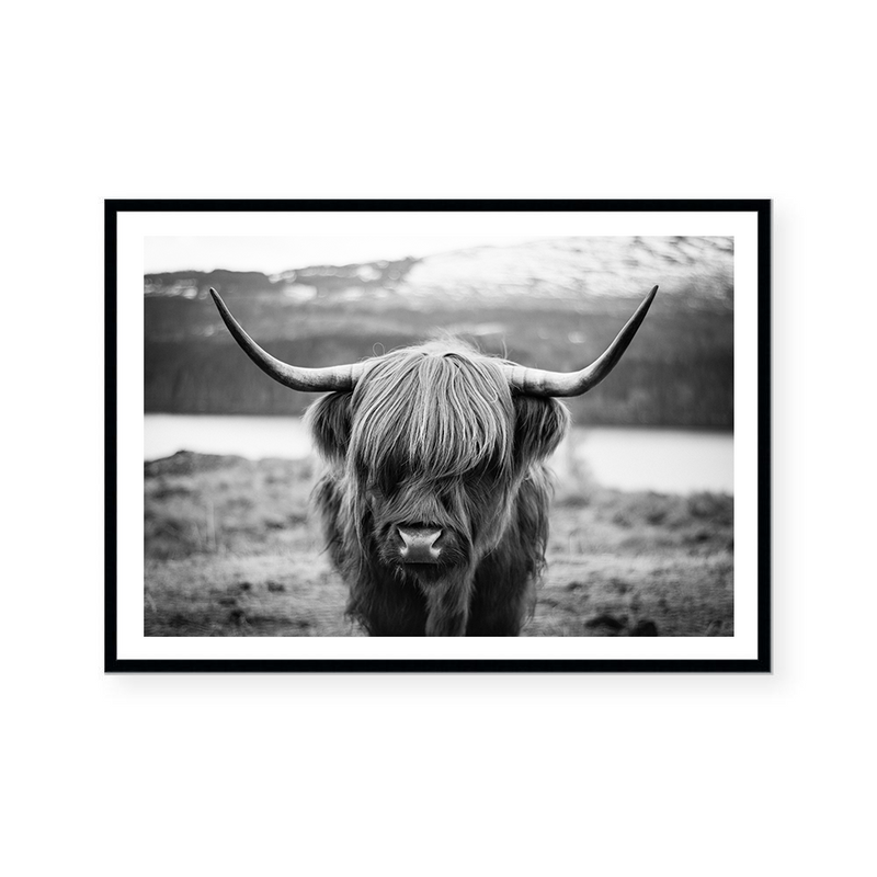 Highlander | B&W | Art Print