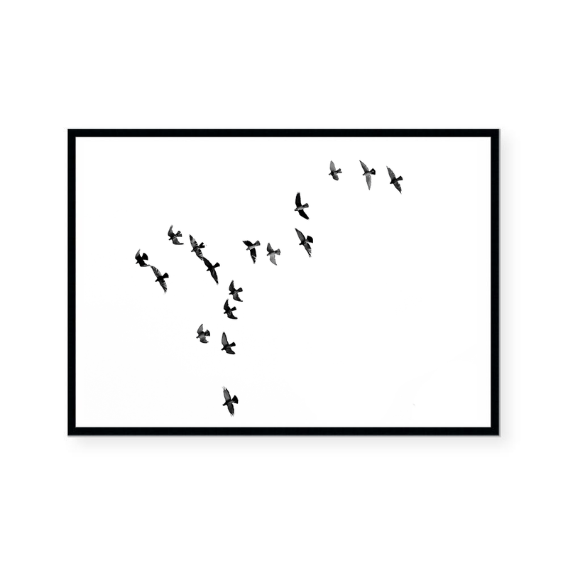 Birds II | Art Print
