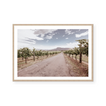 Hunter Valley Vineyards | Art Print