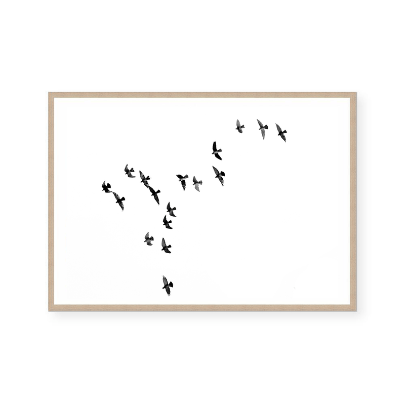 Birds II | Art Print