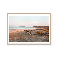 Kangaroos At Shore | Art Print