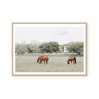 Australian Landscape | Art Print