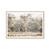 Outback Kangaroos | Art Print