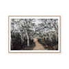 Australian Forest | Art Print