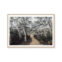 Australian Forest | Art Print