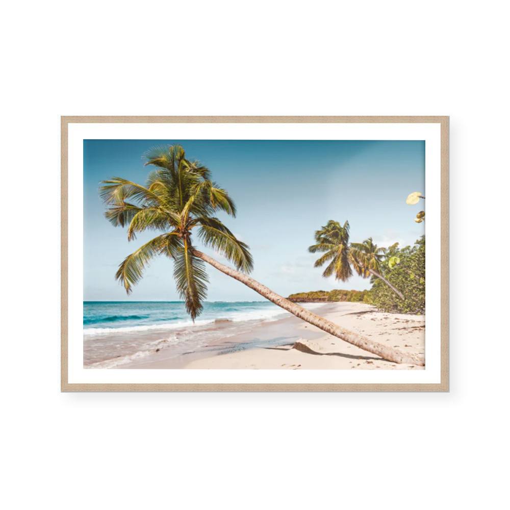 Carribean | Art Print