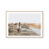 Airlie | Art Print