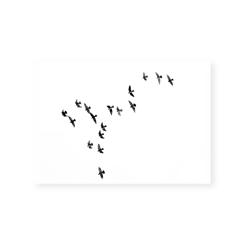 Birds II | Art Print