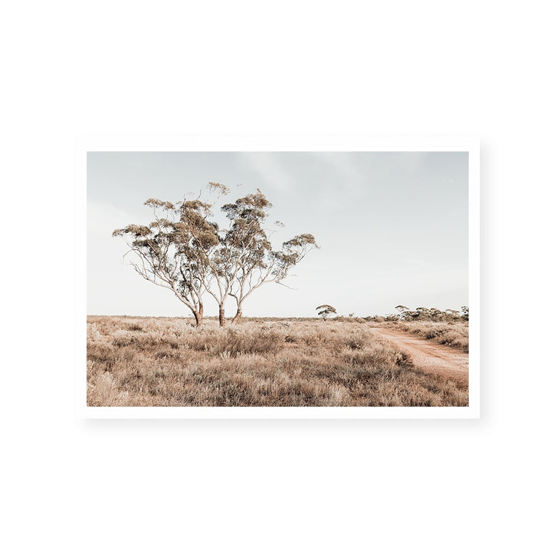 Outback Bush II | Australian Landscape | Art Print