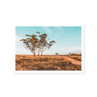 Outback Bush | Australian Landscape | Art Print