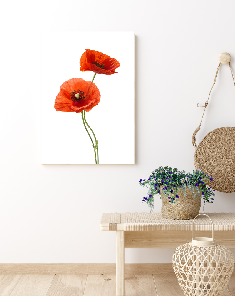 Red Poppies II | Art Print