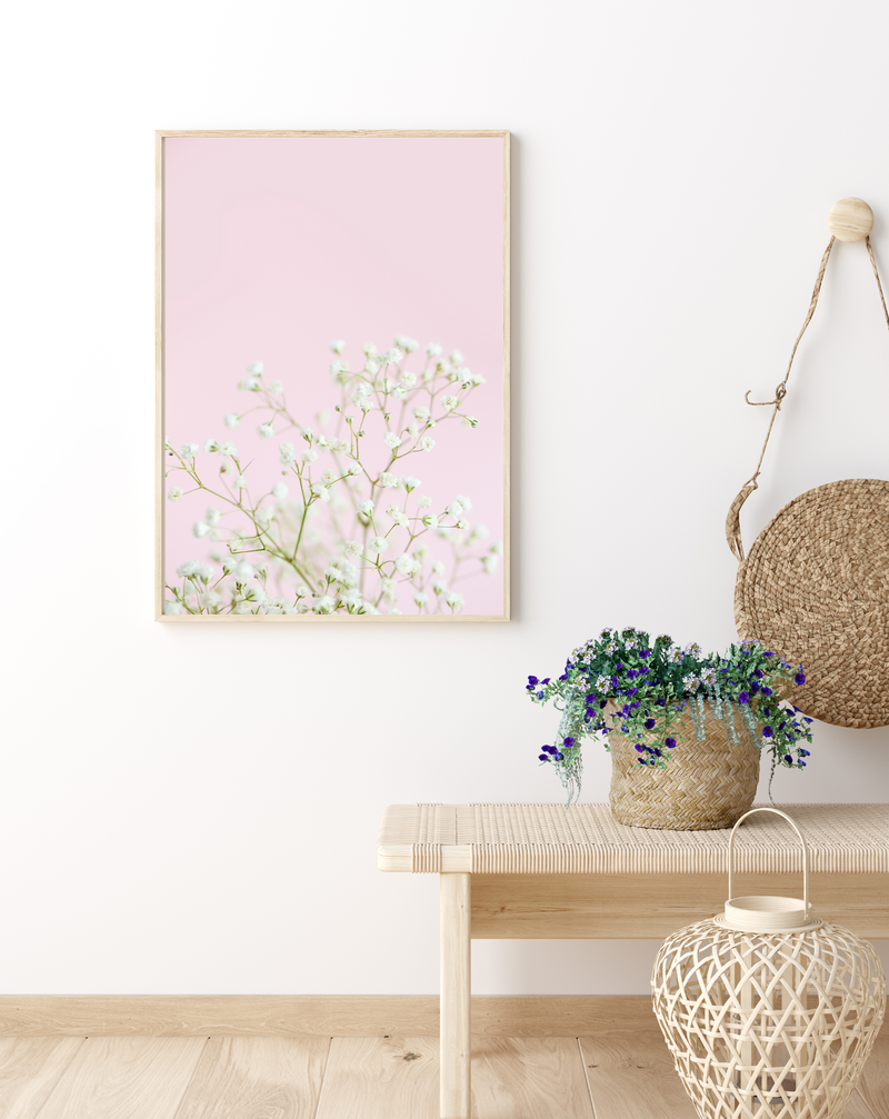 White Gypsophila | Art Print