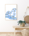 Forget Me Not | Art Print