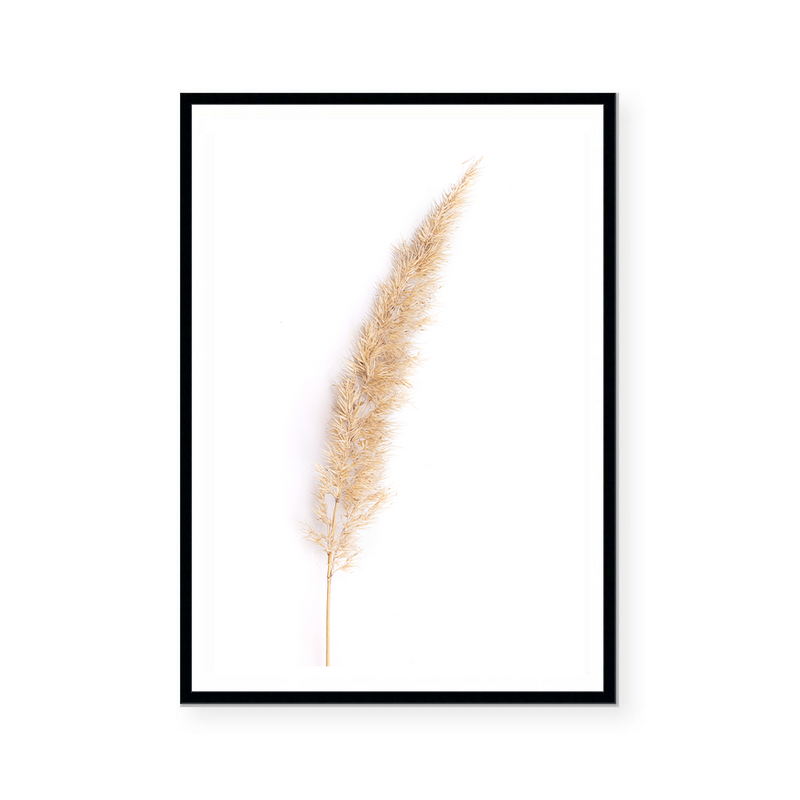 Neutral Pampas I | Art Print