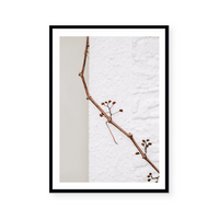 Crawling Branch | Art Print