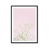 White Gypsophila | Art Print