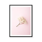 Rowan Flowers | Art Print