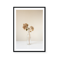 Dried Hydrangeas | Art Print