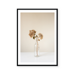 Dried Hydrangeas | Art Print
