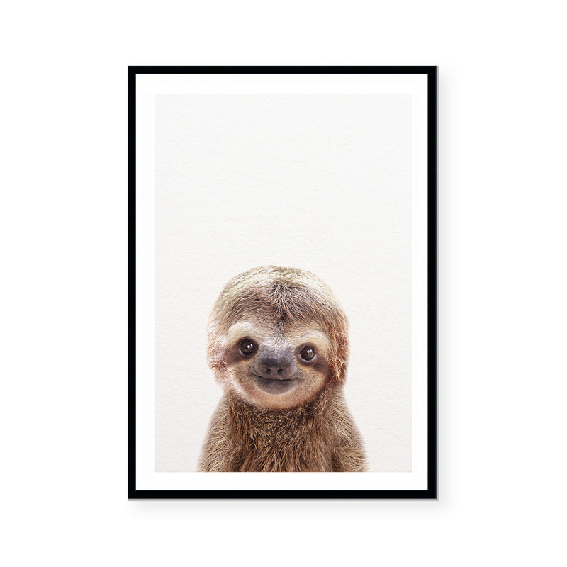 Baby Sloth | Art Print