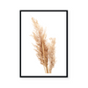 Neutral Pampas II | Art Print