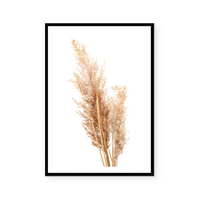 Neutral Pampas II | Art Print