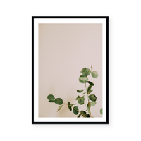 Eucalyptus Branch I | Art Print