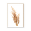 Neutral Pampas II | Art Print