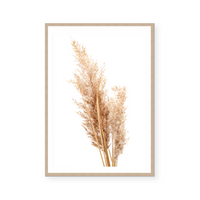 Neutral Pampas II | Art Print