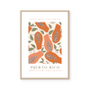 Papaya | Puerto Rico | Art Print