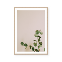 Eucalyptus Branch I | Art Print