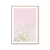 White Gypsophila | Art Print