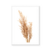 Neutral Pampas II | Art Print