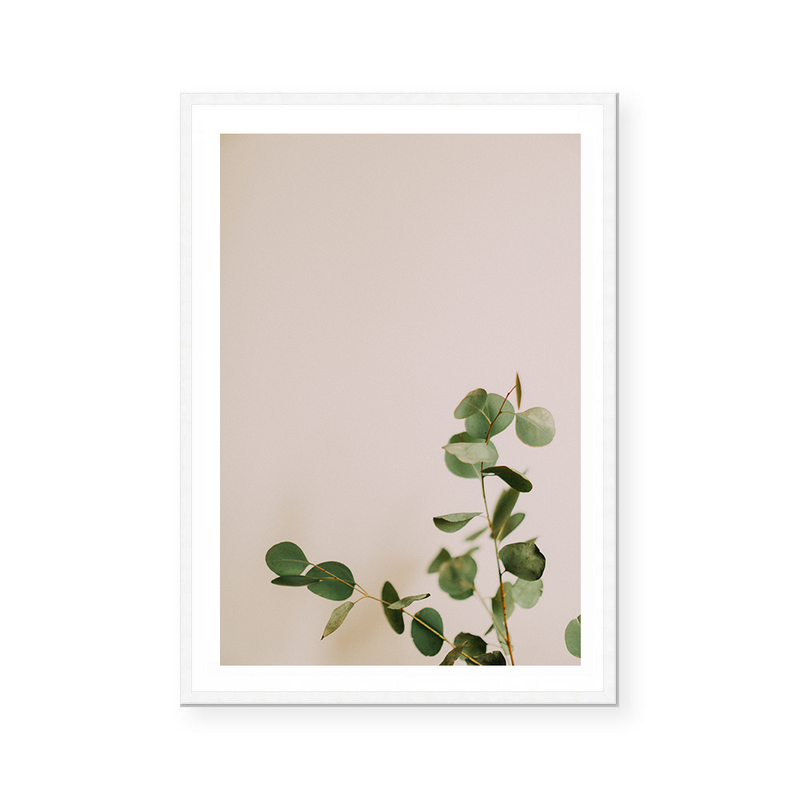 Eucalyptus Branch I | Art Print