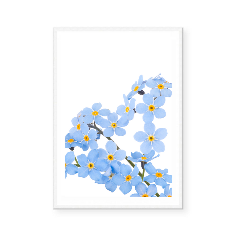 Forget Me Not | Art Print