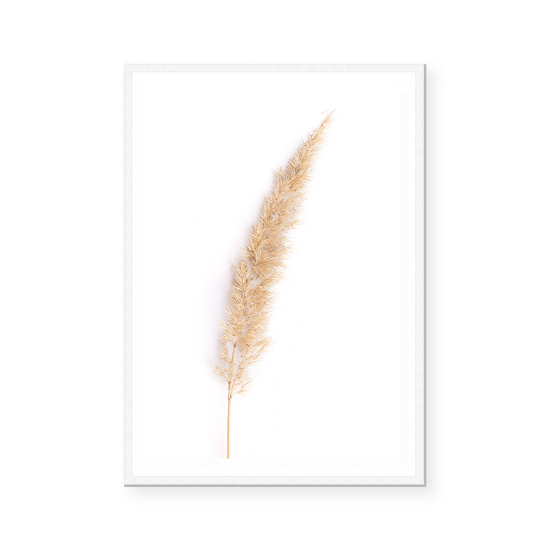 Neutral Pampas I | Art Print