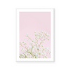 White Gypsophila | Art Print